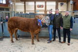 Reserve Champion